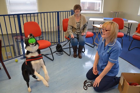 Orchard Veterinary Centre