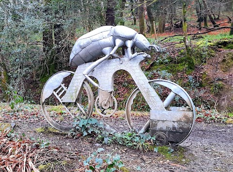 National Trust - Plymbridge Woods