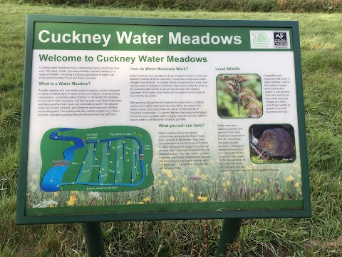 Cuckney Water Meadows