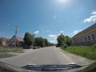 Укрпошта 08060