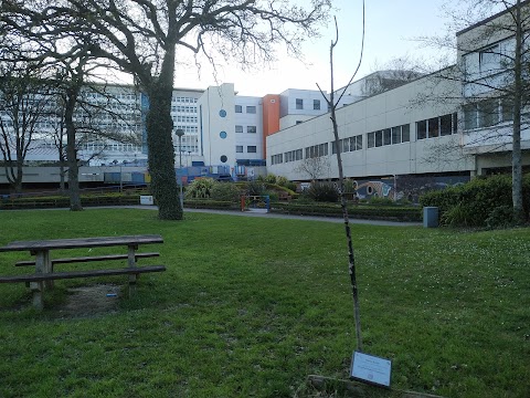 Heath Hospital Garden