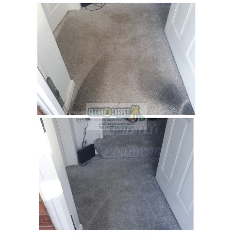 Clean D Carpet / Clean D oven