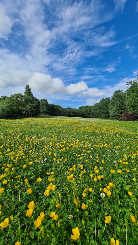 Lincoln Water Park