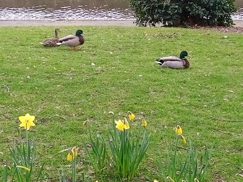 Coronation Gardens