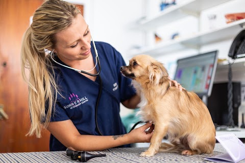 Summercourt Veterinary Surgery