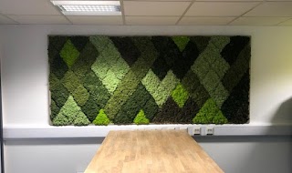 Creative Office Environments Ltd