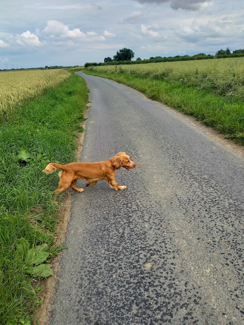 Holmefield Veterinary Clinic