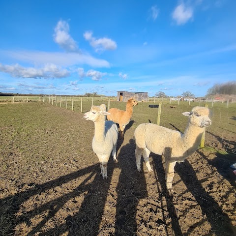 Herrings Green Activity Farm & Bird of Prey Centre