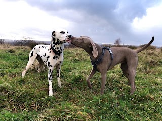 Pearly's Pooches