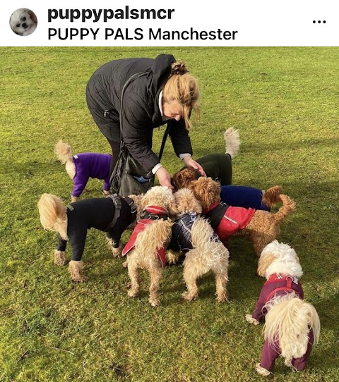 Puppy Pals Manchester