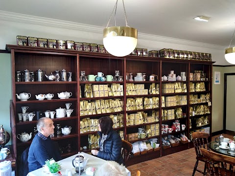 Northern Tea Merchants Ltd