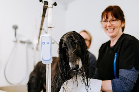 Bishop Burton Kennels and Dog Grooming