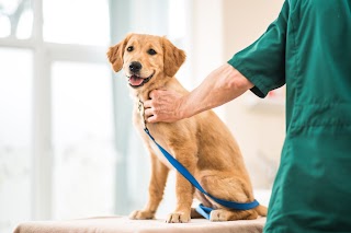 Letchworth Veterinary Centre