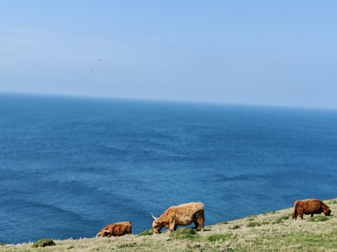 National Trust - Bolberry Down