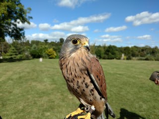 Feathers and Fur Falconry Centre