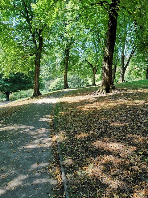 Beechwood Park