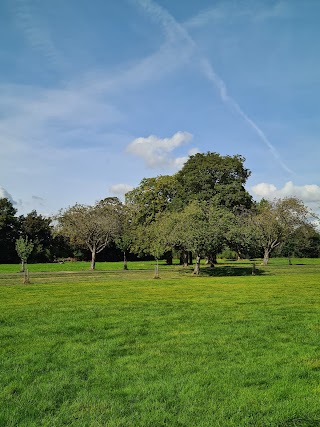 Ray Park Woodlands