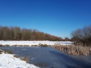 Yate Common