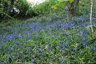 Elmers Clough