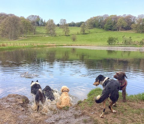 Walkies Scotland