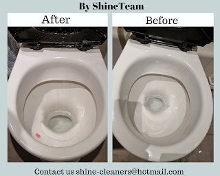 Shine Cleaners Service