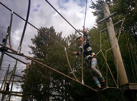 Treetop Extreme