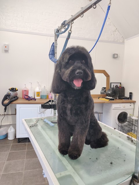 Harriet's Dog Grooming & Day Care