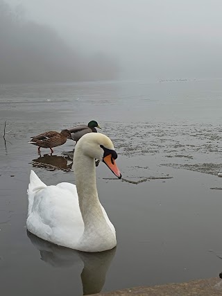 Golden Acre Park