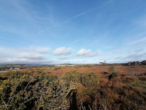 National Trust - Murlough National Nature Reserve