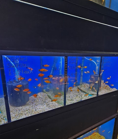 Burgos Pet World Aquatic Pet Shop