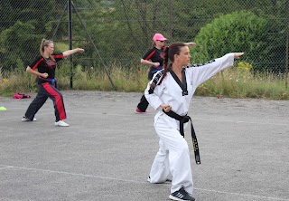 TAGB Wyre Forest Taekwondo