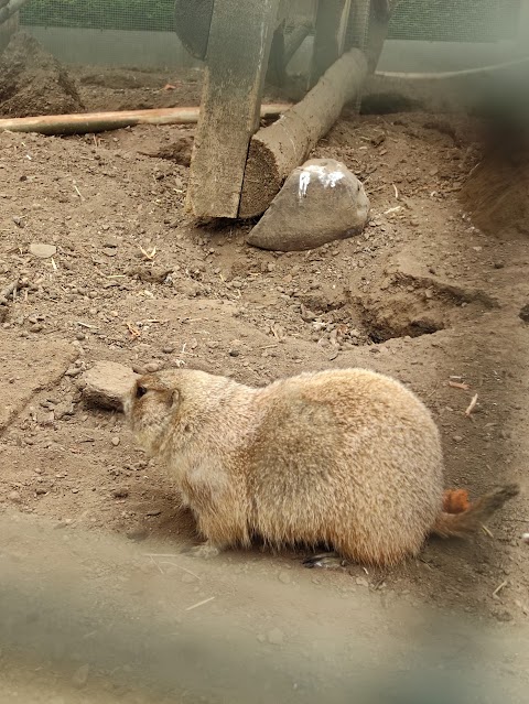 Calderglen Zoo