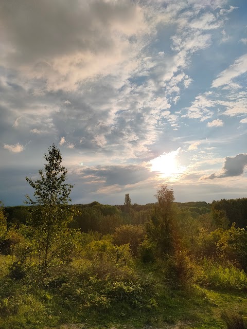 Baggeridge Country Park