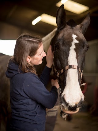 Spiritheart Holistic Animal Therapy