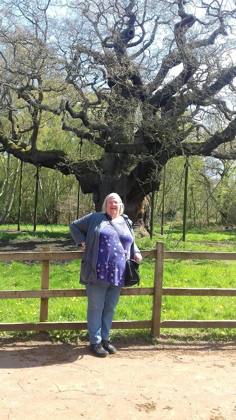 Sherwood Forest Trekking Centre