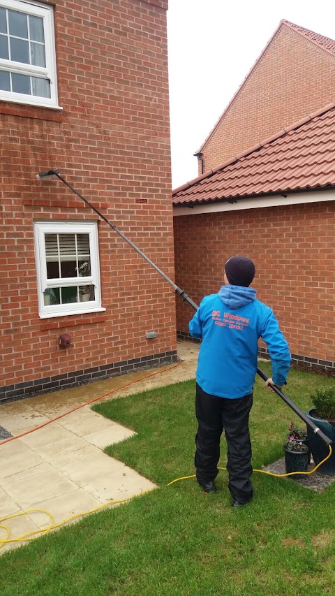 Ng window cleaning services