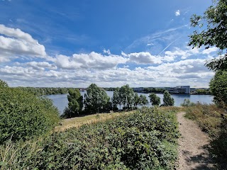 The hill above the lakeside