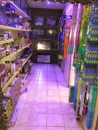 Mega Pet Warehouse