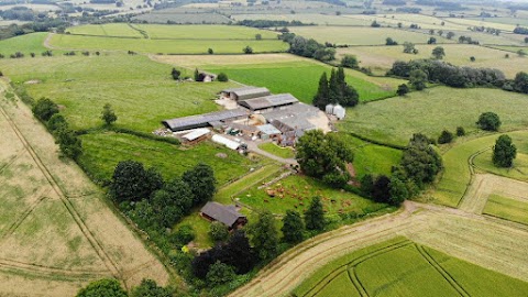 Meadowview Cottages