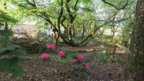 Moorlands cottage