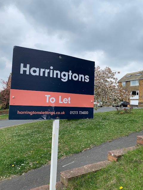 Harringtons Lettings