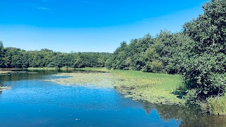 Penllergaer Valley Woods