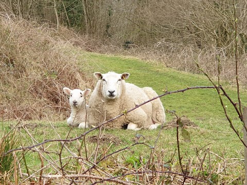 Duffryn Farm Cottages