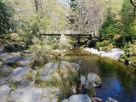 Camping Tollymore Forest Park