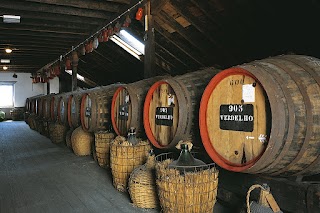 Vintage Wine & Port Limited