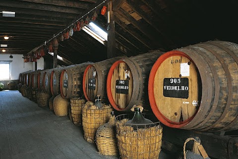 Vintage Wine & Port Limited