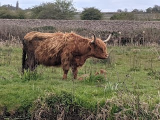 Marston Marsh