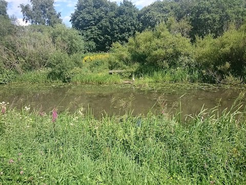 Possil Marsh