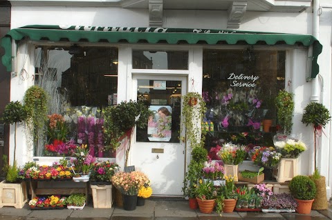 Fioritalia florists. Plants & flowers