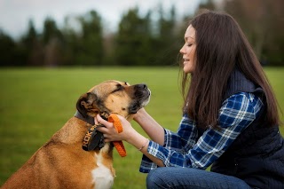 Dog Walkers Dublin